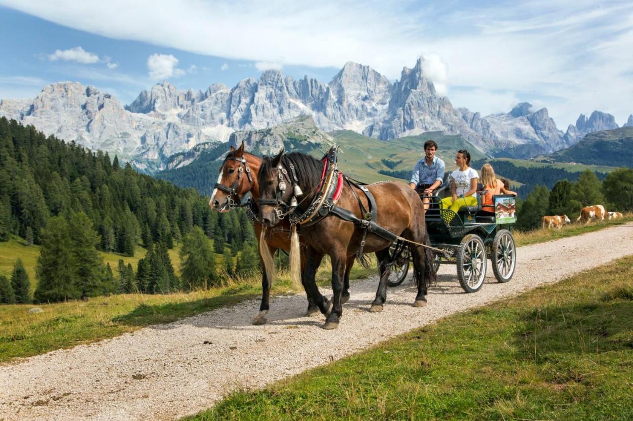 Hotel Italia Castello-Molina di Fiemme Esterno foto